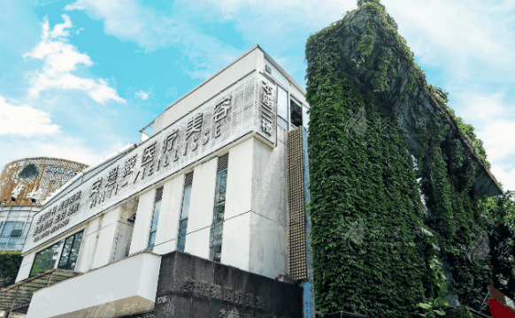 東莞安堤薇醫(yī)療美容 東莞安堤薇醫(yī)療美容
