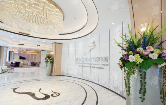 武漢美萊醫(yī)療美容醫(yī)院 武漢美萊醫(yī)療美容醫(yī)院