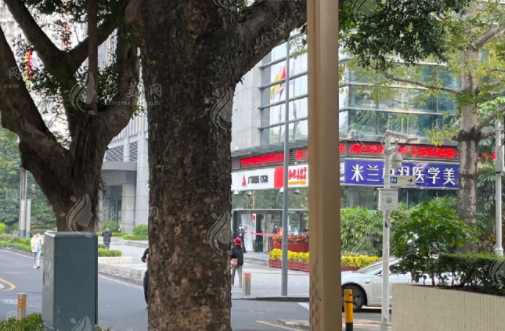 深圳米蘭柏羽整形醫(yī)院 深圳米蘭柏羽整形醫(yī)院
