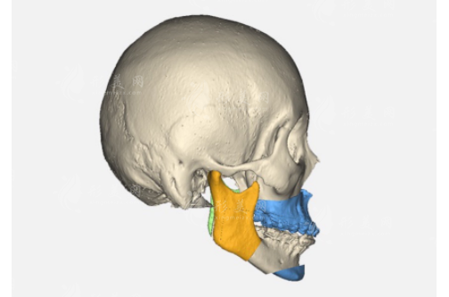 上海第九人民醫(yī)院口腔科特色技術(shù)