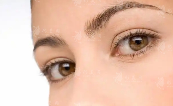 眼綜合項目：開啟明眸善睞的美麗之旅