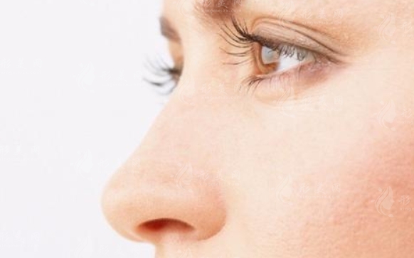 耳軟骨隆鼻與肋軟骨隆鼻：一次深入的比較