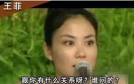 當(dāng)明星被問(wèn)整形 王菲回答最霸氣“誰(shuí)問(wèn)的”